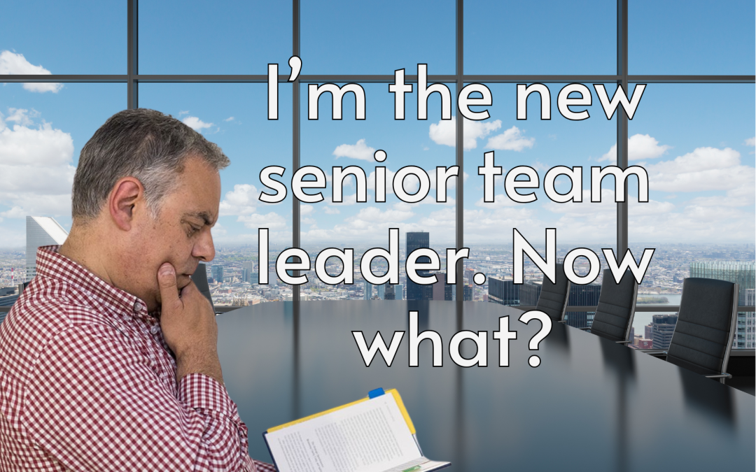 I’m the new senior team leader. Now what?